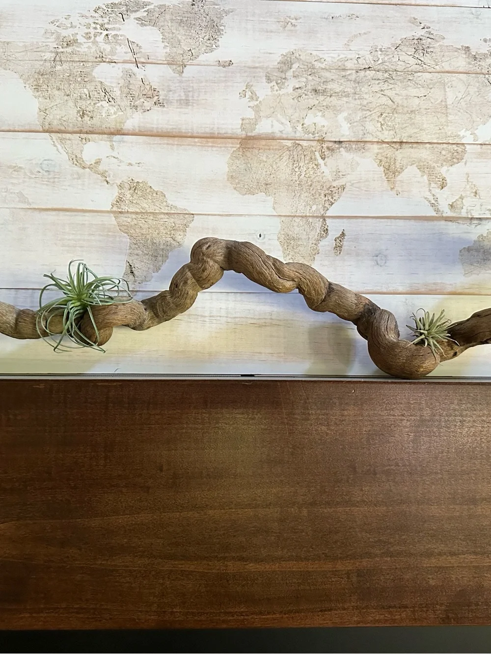 Natural Organic Twisted Vine Decorative Accent - Rustic Brown Winding Silhouette